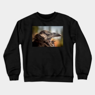 Common Raven Portrait Crewneck Sweatshirt